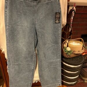 Diane Gilman DG2 Stretch Capri Pull-On Denim 16